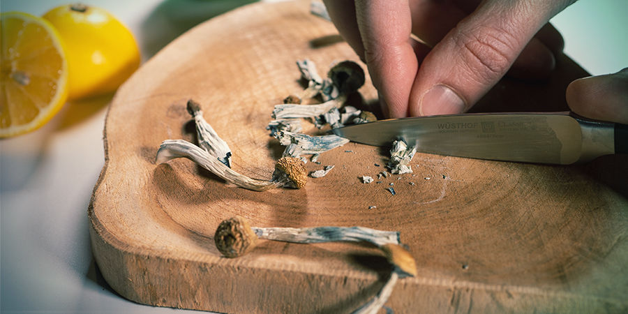 Instrukcja lemon tek: pokrój lub zmiel magiczne grzyby albo trufle