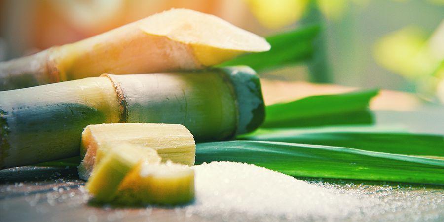 Poziom sacharozy i lipidów Poziom sacharozy i lipidów