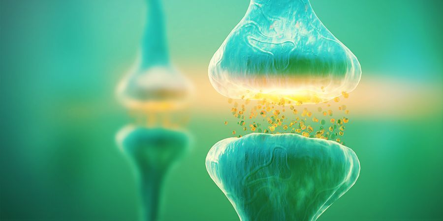 Dlaczego anandamid jest ważny?