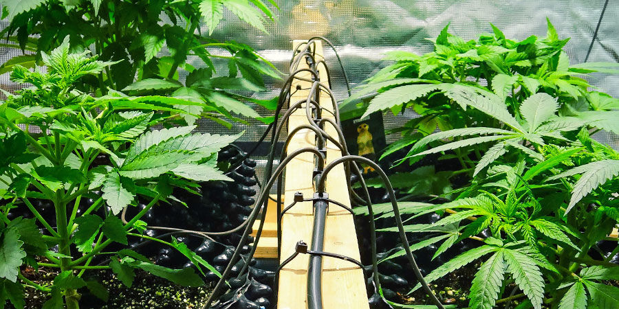 Komercyjnie dostępne rozwiązania