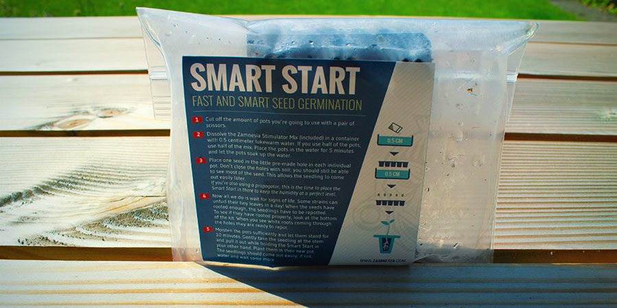 Zestaw do kiełkowania – uprawa konopi