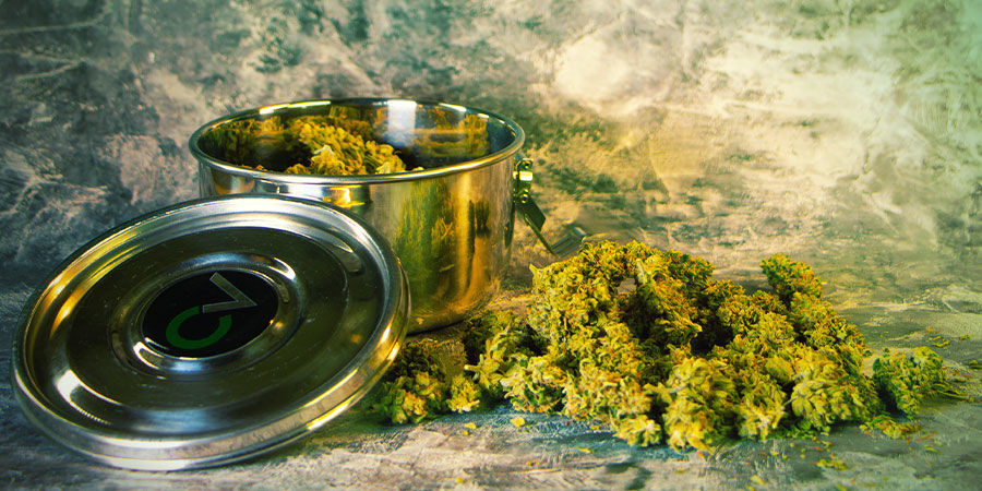 Co jest potrzebne po zbiorach marihuany?