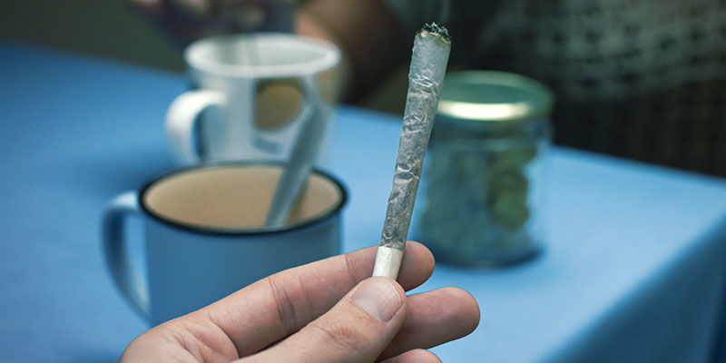 Odwiedź klub społeczny konopi