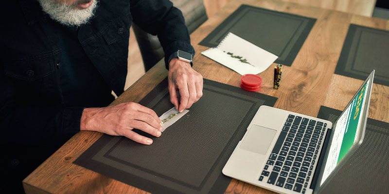 Sprawdź strony z autorytetem w świecie konopi Sprawdź strony z autorytetem w świecie konopi