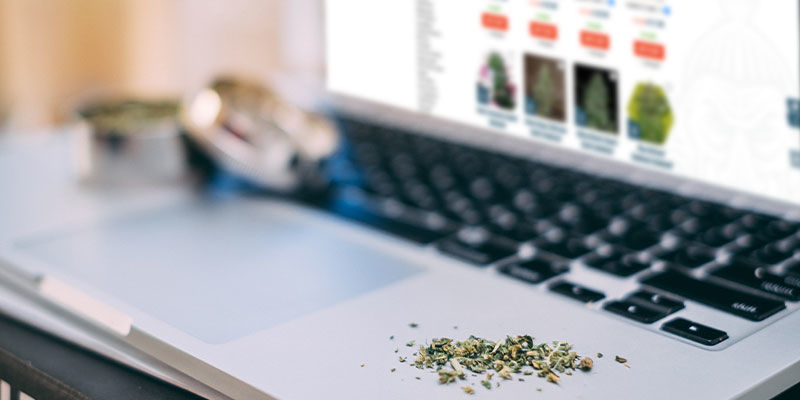 Sprawdź „Top Lists” i znajdź odmianę, która Cię zainteresuje