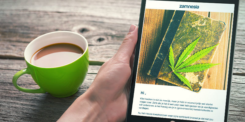 Subskrybuj newslettery od uznanych hodowców i banków nasion Subscribe to Newsletters From Renowned Breeders and Seed Banks