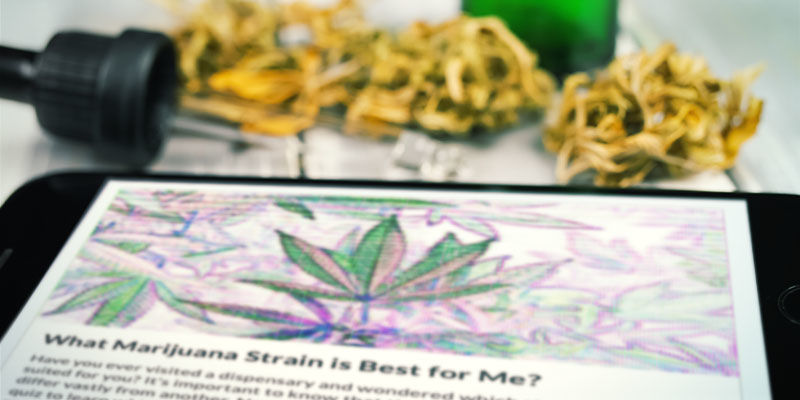 Weź udział w quizie! Weź udział w quizie!