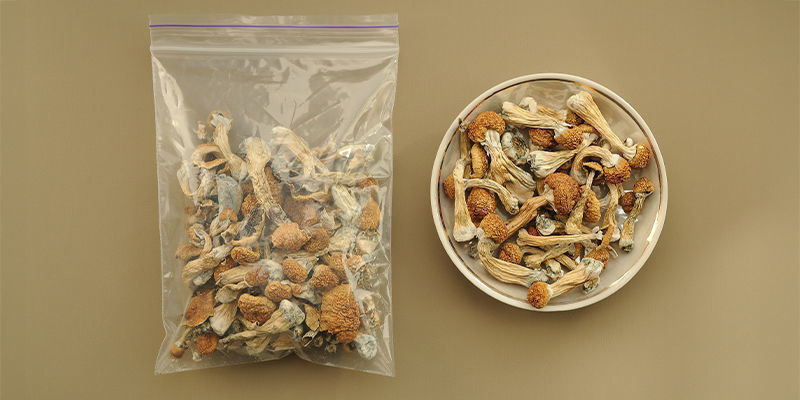 Jak przechowywać świeże i suszone grzybki halucynki?