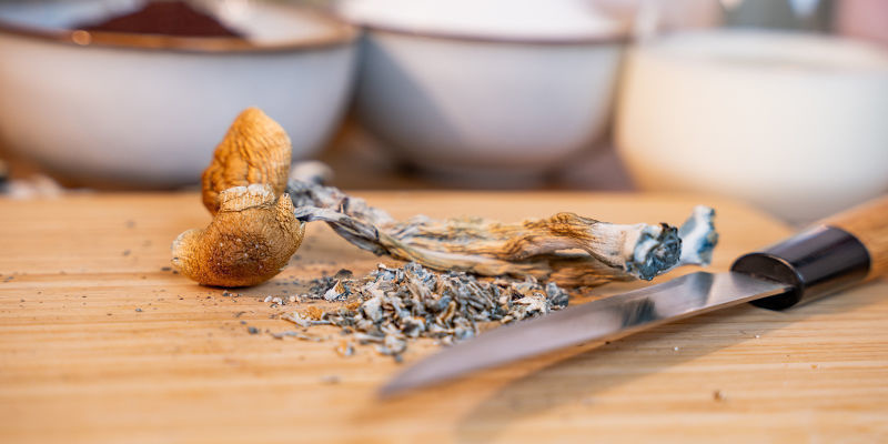 Przygotowanie grzybków halucynków i łatwość użycia