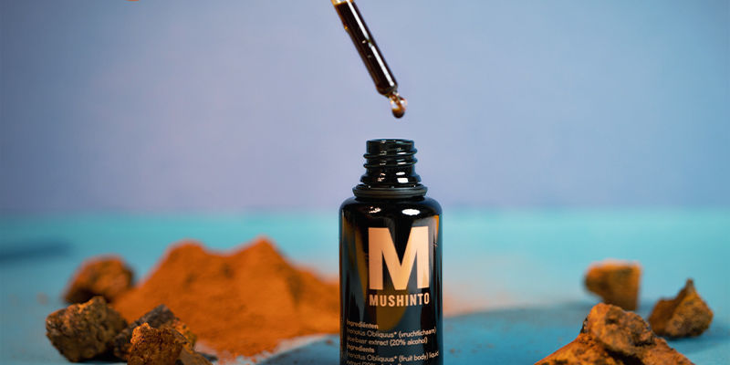 Tincture Czym jest nalewka z chagi