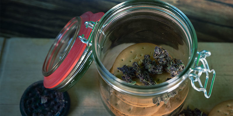 Czy można przechowywać cannabiosowe firecrackers? Czy można przechowywać cannabiosowe firecrackers?