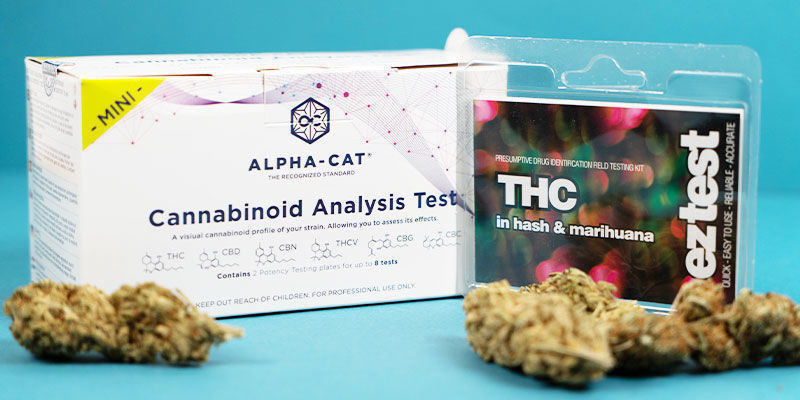 Jak testować poziomy THC i CBD w produktach z konopi