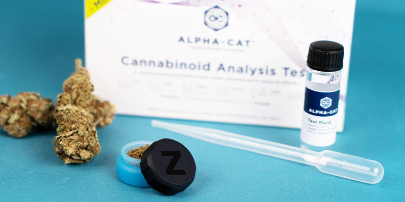 Które produkty z konopi możesz przetestować za pomocą zestawu Alpha-cat Cannabinoid Test Mini Kit?