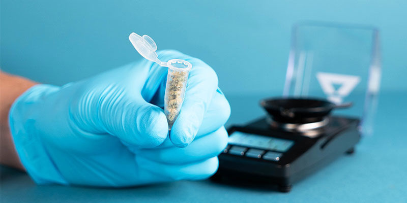 Dlaczego warto badać poziom THC i CBD w produktach z konopi?