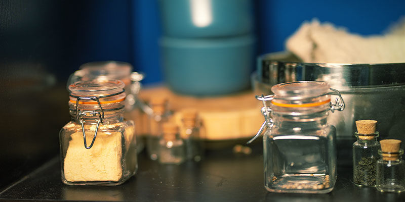 Przechowywanie soplówki jeżowatej