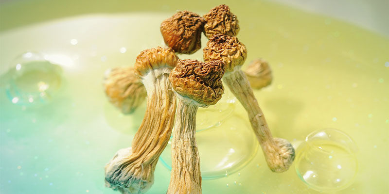 Które psychodeliki dobrze łączą się z VR? Które psychodeliki dobrze łączą się z VR