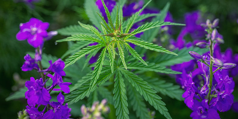 Wypróbuj uprawę współrzędną Wypróbuj uprawę współrzędną