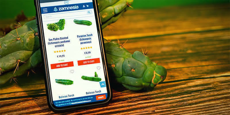 Gdzie kupić Echinopsis zamnesiana