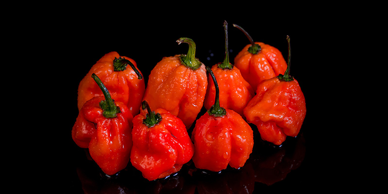 Naga Viper: 1.38M SHU Naga Viper: 1.38M SHU