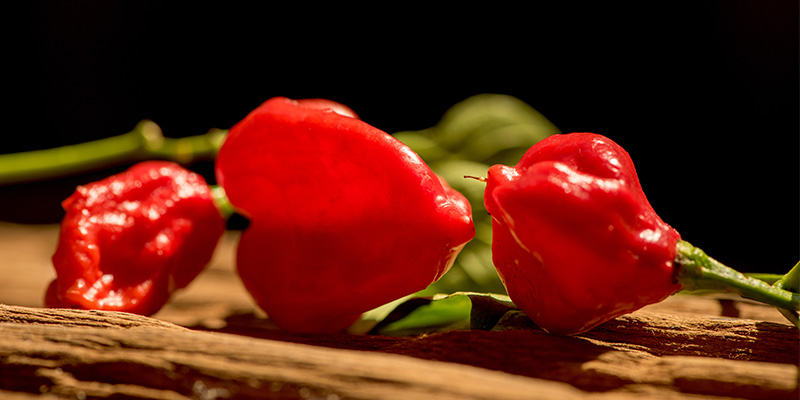 Red Savina Habanero: 577K SHU Red Savina Habanero: 577K SHU