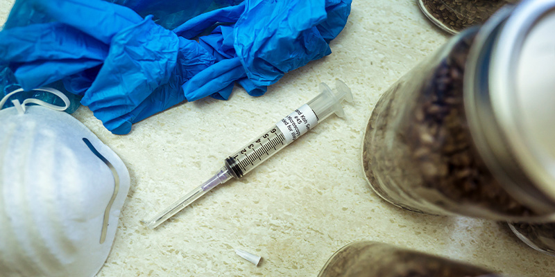 Dlaczego do przygotowania ciekłej kultury potrzebujesz strzykawki z zarodnikami