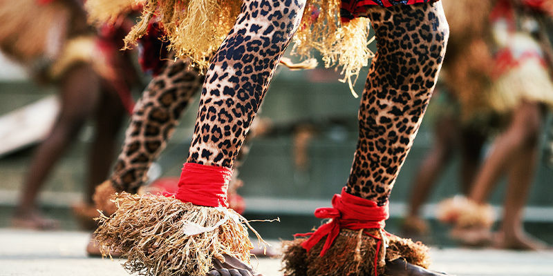 Jak stosuje się ibogainę