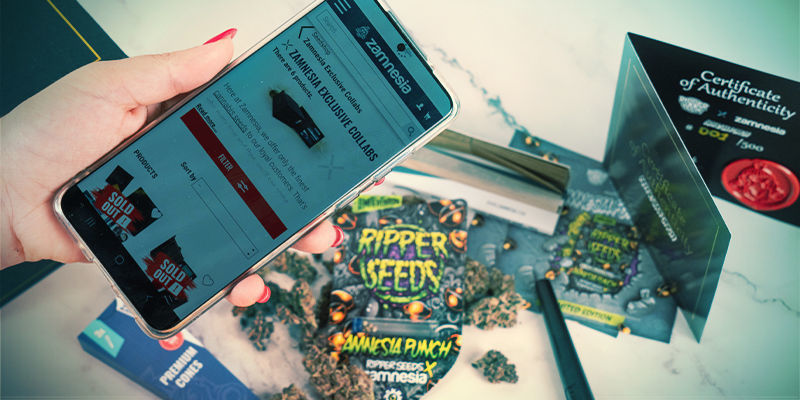 Amnesia Punch (Zamnesia x Ripper Seeds)