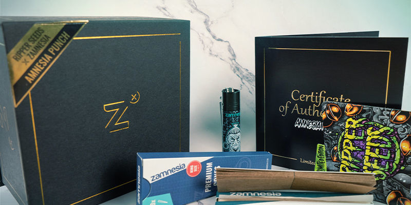 Co zawiera zestaw Amnesia Punch? Co zawiera zestaw Amnesia Punch?