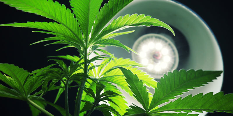 Czym jest doświetlanie boczne?