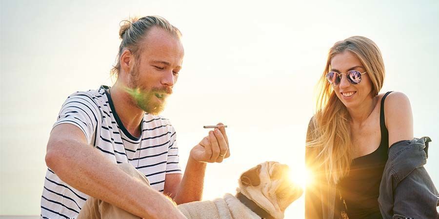 Purpose Of Use Medical Vs Recreational Cannabis: Purpose of Use