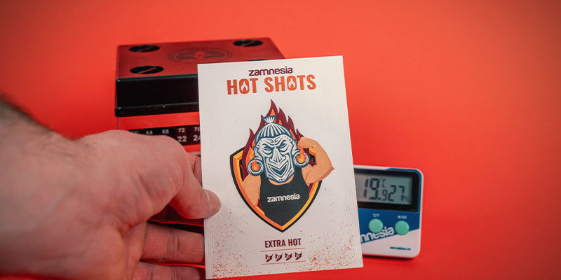 Czego potrzebują nasiona ostrych papryk, aby wykiełkować? Czego potrzebują nasiona ostrych papryk, aby wykiełkować?