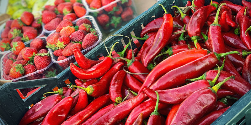 Których roślin należy unikać? Których roślin należy unikać?