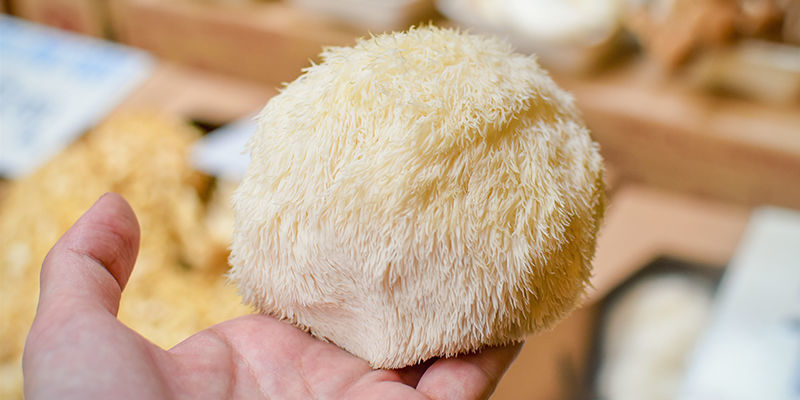 Jakie składniki nootropowe są najlepsze? Jakie składniki nootropowe są najlepsze?