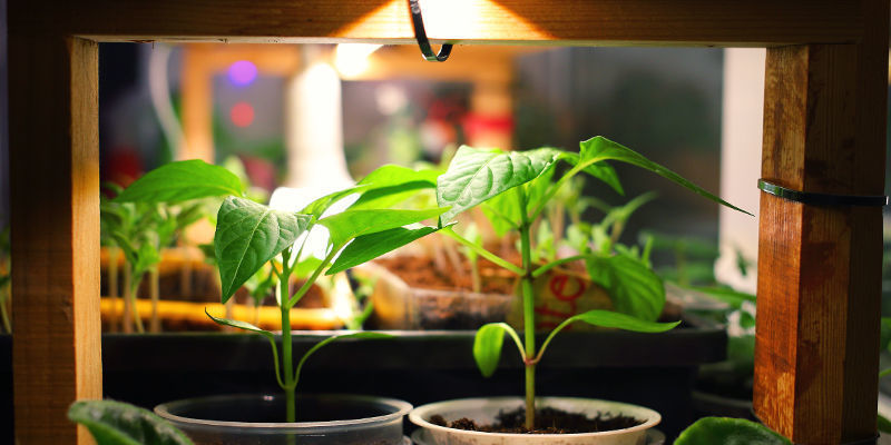 Utrzymuj ciepły klimat w nocy Utrzymuj ciepły klimat w nocy