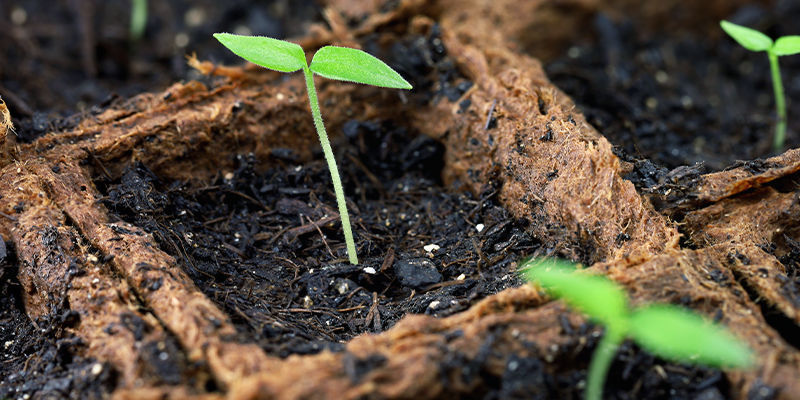 Mieszanka ziemi Mieszanka ziemi