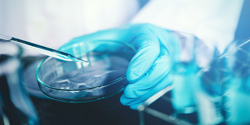 Jak przeprowadzono badania? Jak przeprowadzono badania?