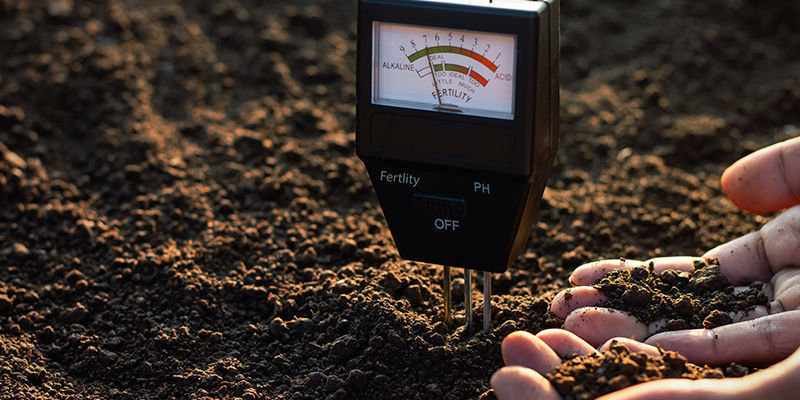 Blokada składników odżywczych Blokada składników odżywczych