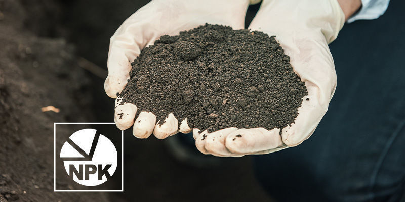 Składniki podstawowe Składniki podstawowe