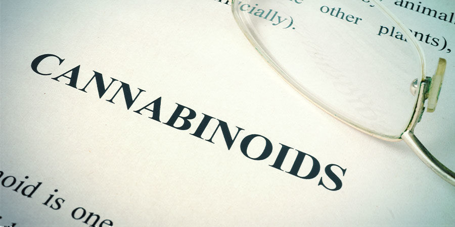 Poznaj swoje TAC Poznaj swoje TAC