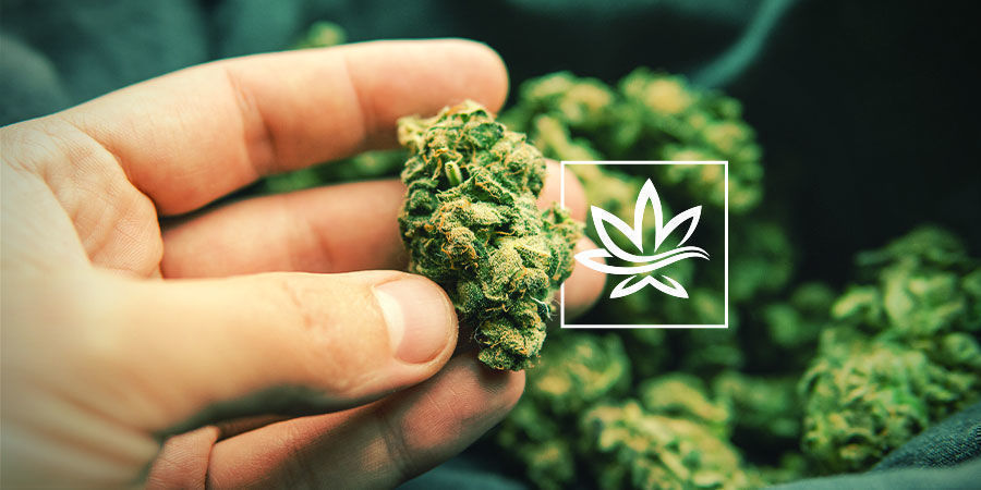 Inne związki w konopiach Inne związki w konopiach