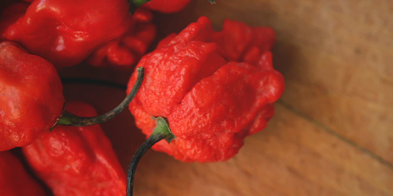 Czy jesteś gotowy na papryczkę Carolina Reaper?