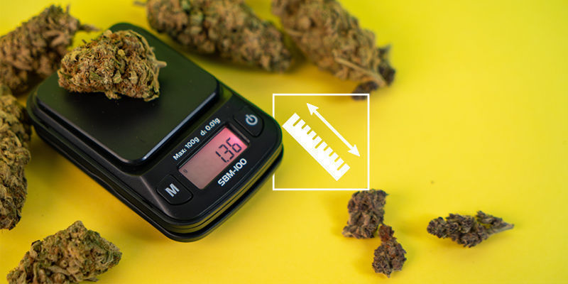 Zrozumieć pomiary zioła