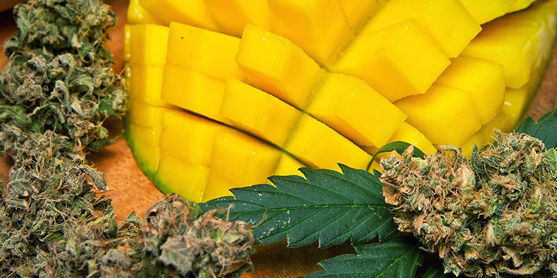 Produkty zawierające mircen Produkty zawierające mircen