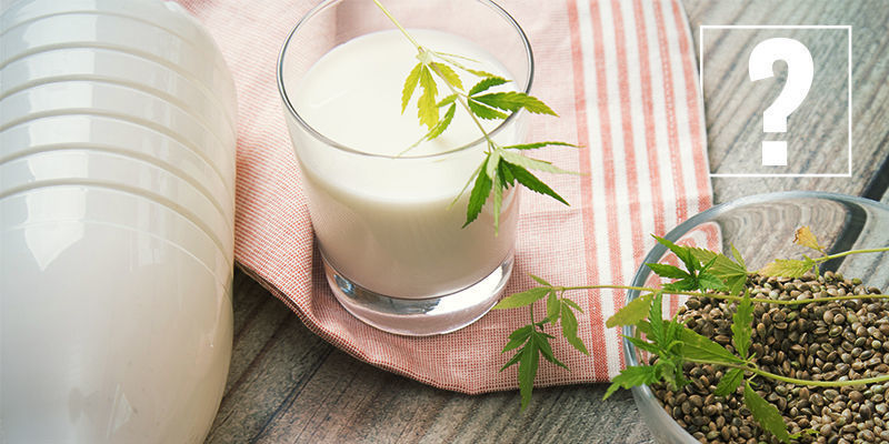 Dlaczego warto znać interakcje między jedzeniem a lekami? Dlaczego warto znać interakcje między jedzeniem a lekami?