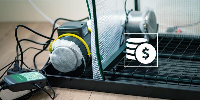 Czy namioty uprawowe Martha są tego warte? Czy namioty uprawowe Martha są tego warte?