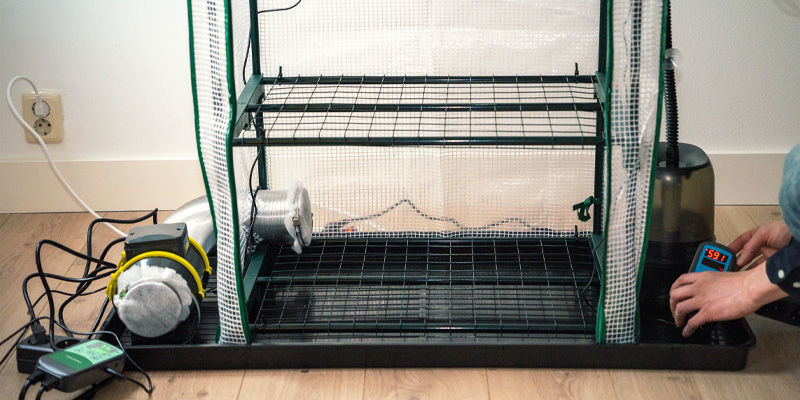 Czym jest komora owocnikowania Martha? Czym jest komora owocnikowania Martha?