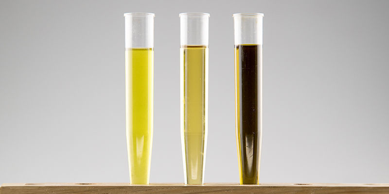 Delta 8, 9 i 10: który jest najlepszy?