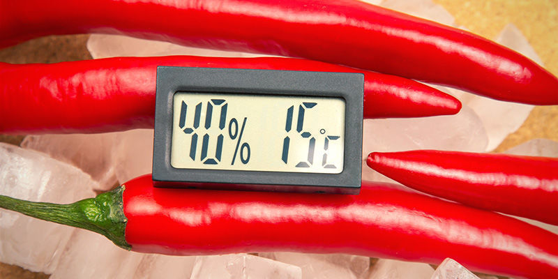 Najlepsze sposoby na zimowanie papryczek chilli