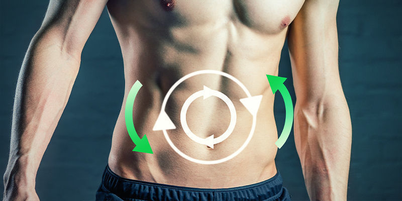 Metabolism Metabolism