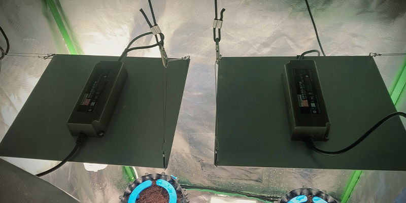 Setting Up Your Grow Lights Setting Up Your Grow Lights